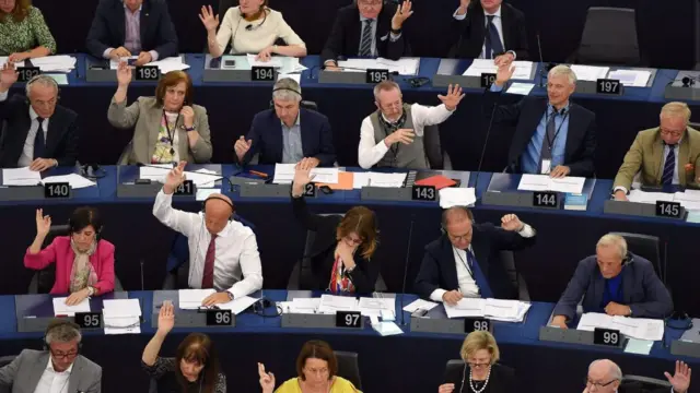 MEPs voting in Strasbourg