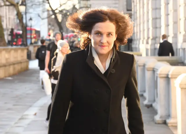 Conservative Theresa Villiers - who voted down Mrs May's Brexit deal but in support of her government