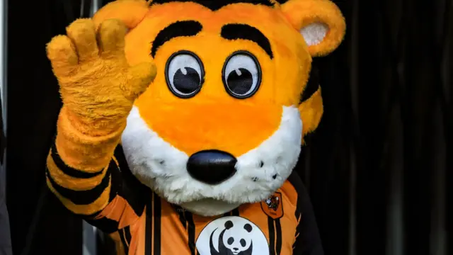 Hull City's mascot