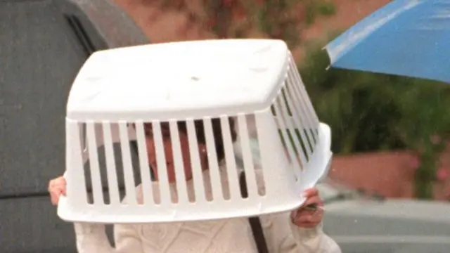 Laundry basket