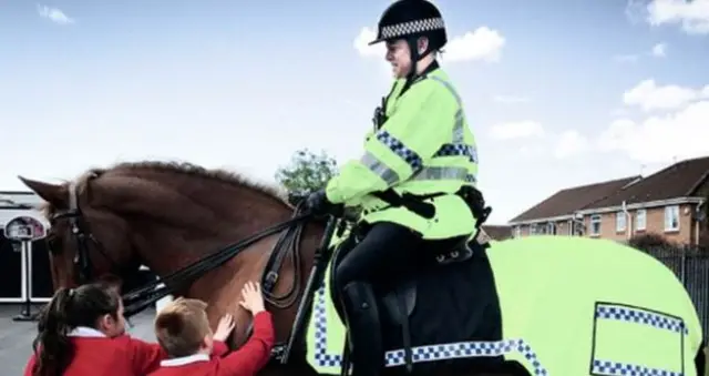 Police horse generic