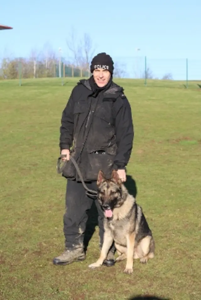 One of the dogs with its handler