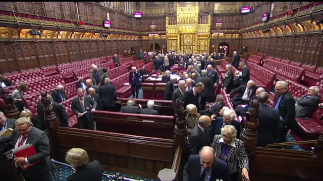 Peers vote on Labour amendment to Trade Bill