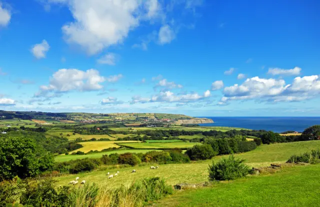 The view out from Stoupe Brow