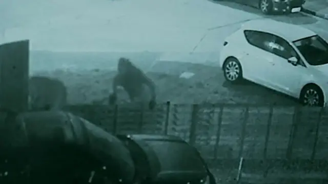 Men jumping over fence