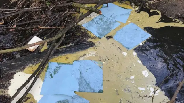 Oil spill in Beauvale Brook