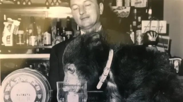 Dennis Hurt with Ben the bear on the bar of Victoria Hotel in Beeston