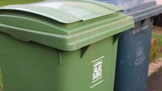 Green bin