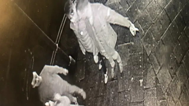 CCTV image