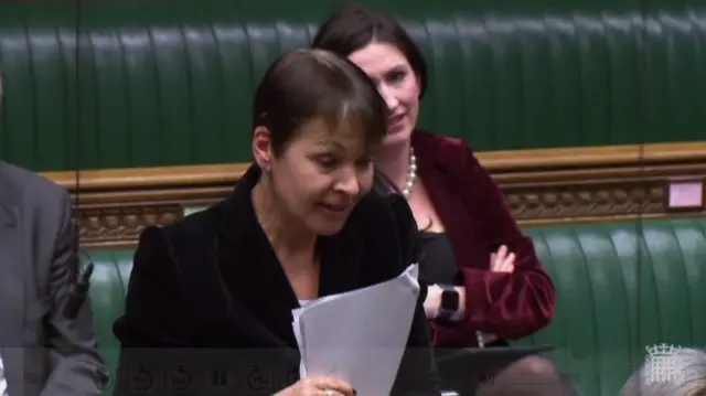 Caroline Lucas, Green Party MP