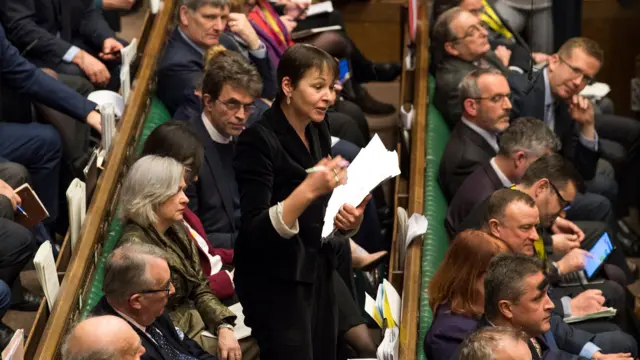 Caroline Lucas