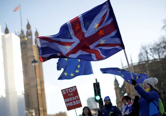 Anti-Brexit activists hold flags and placards outside the Houses of Parliament