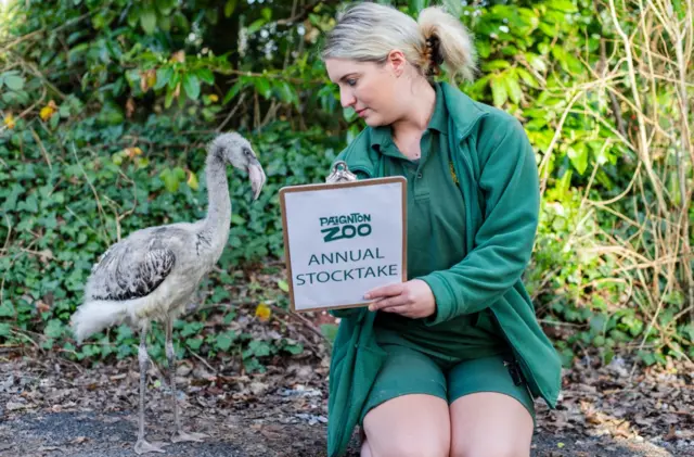 Paignton Zoo stocktake