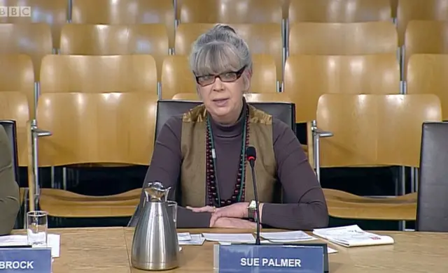 Sue Palmer