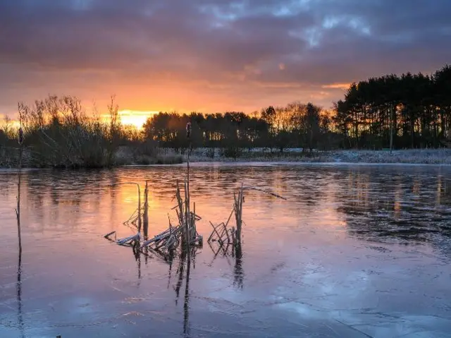 Pelsall ice