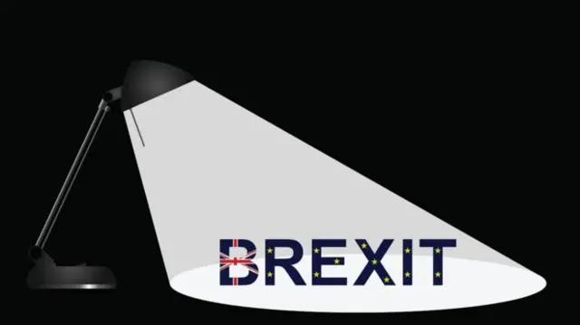 Spotlight on Brexit