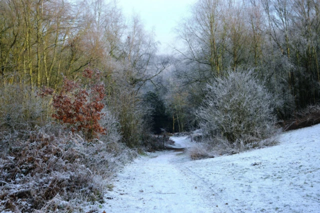 Snow in Bestwood