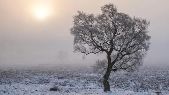 Snow and ice at the Longshaw Estate Derbyshire