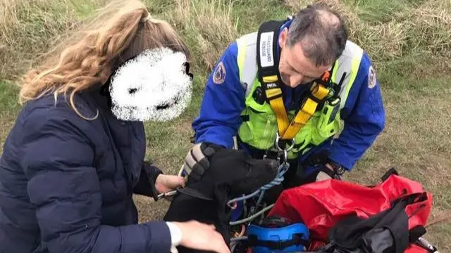 Small black dog with rescuers