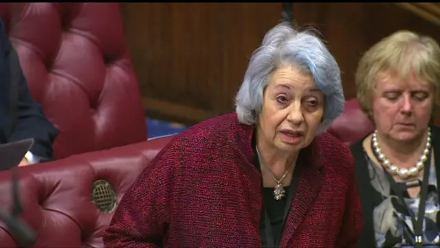 Baroness Hamwee