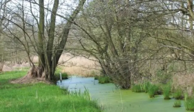 Askham Bog