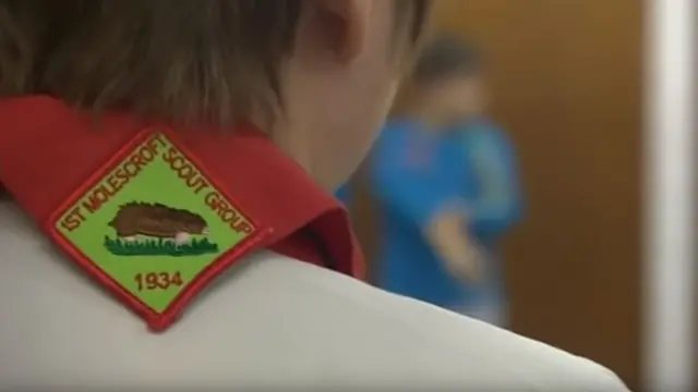 Molescroft Scouts logo