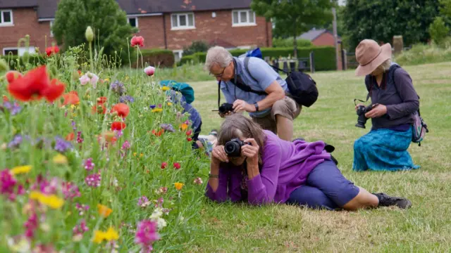 People taking photos of flowers