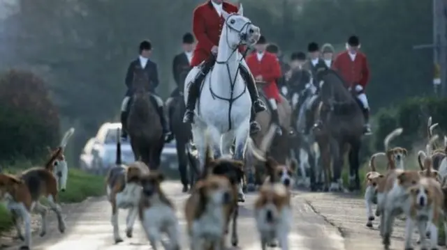 Belvoir Hunt