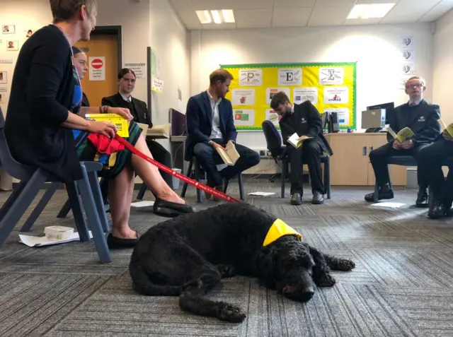 Therapy dog