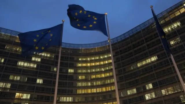 EU flags