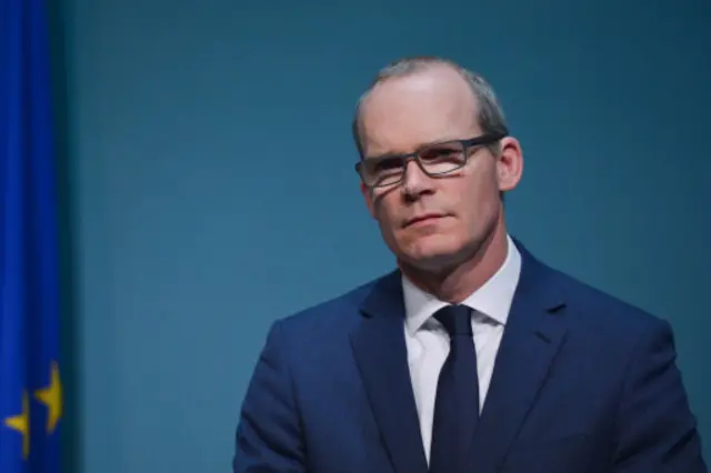 The Irish Deputy Prime Minister Simon Coveney