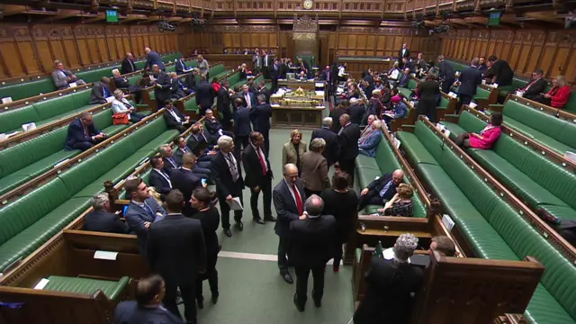 MPs returning to their seats after voting.