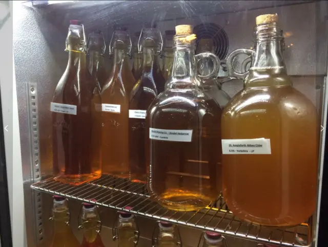 Bottles of homemade cider