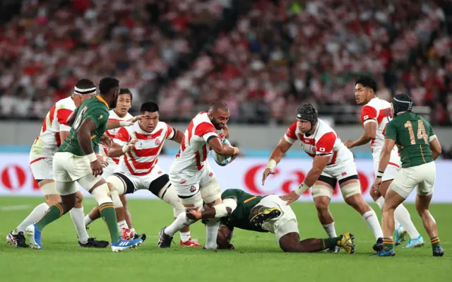 Japan v South Africa