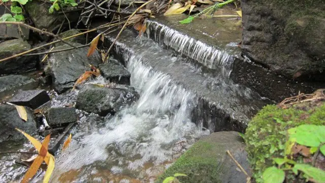 Spadesbourne Brook, Bromsgrove