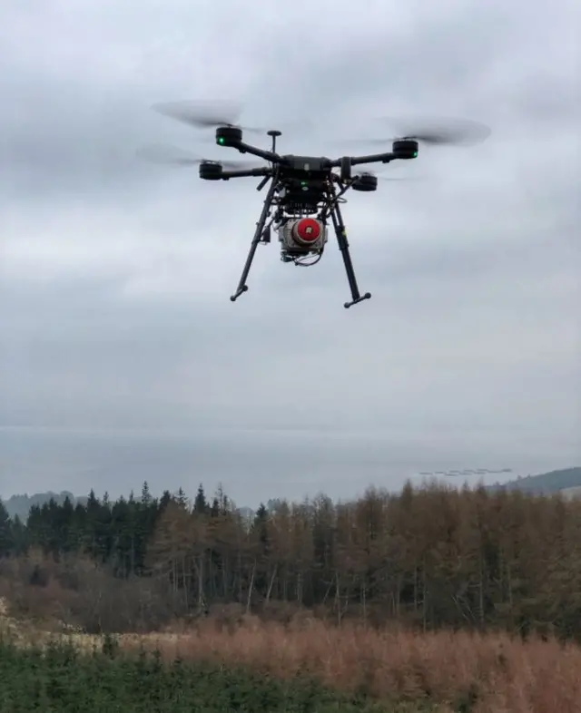 Drone over a forest