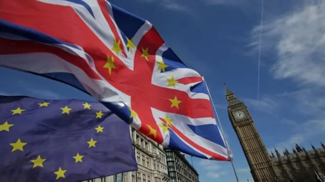 EU flags outside the Houses of Parliament