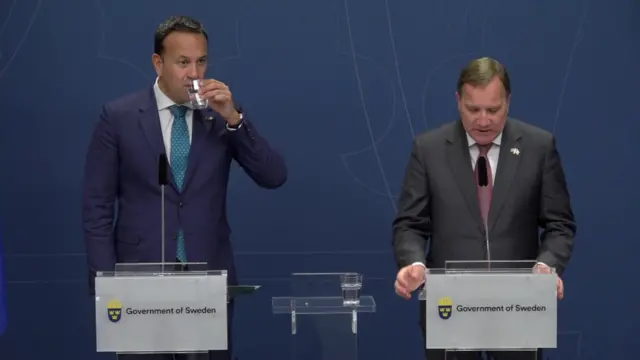 Leo Varadkar and Stefan Löfven