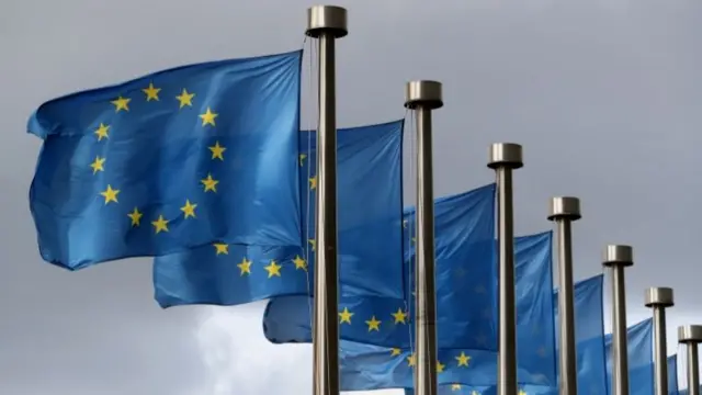 EU flags