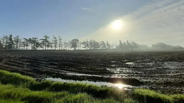 Wet field