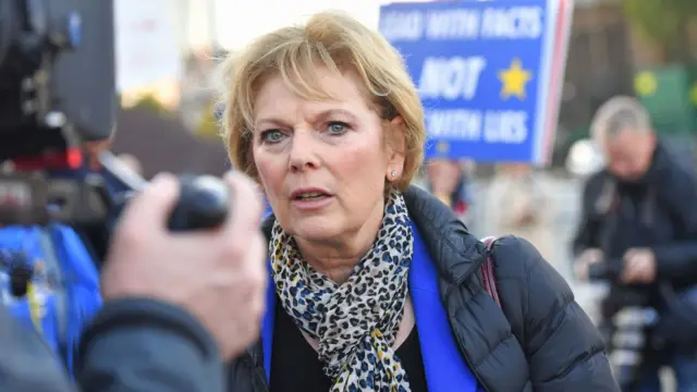 Anna Soubry