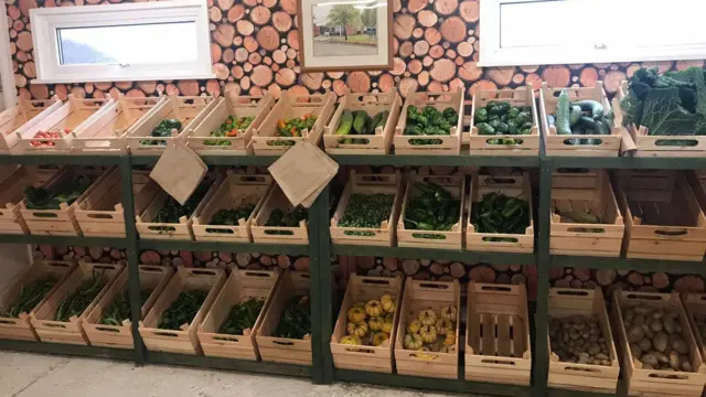 A shelf of vegetables