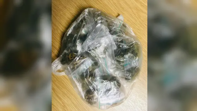 Cannabis seized by police