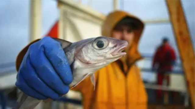 Fisherman with fish