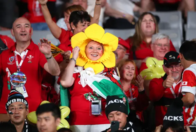 Wales fan with daffodil head gear