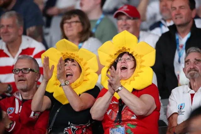 Wales fans with daffodil head gear