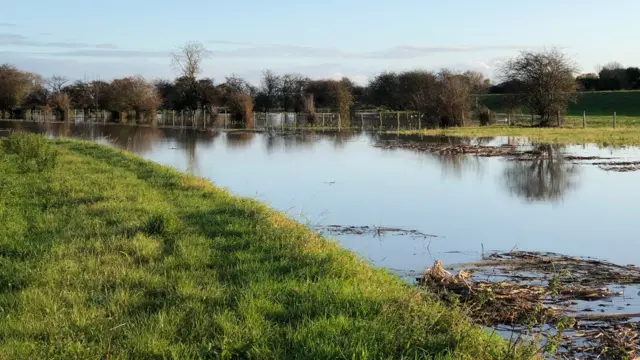 A flooded field