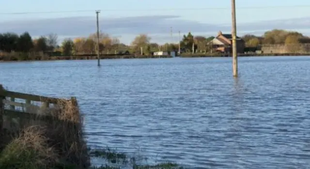 A flooded field