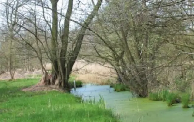 Askham Bog