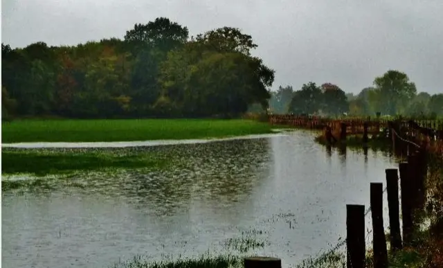 Flooding in field